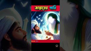 জান্নাতের পানি 💦 হাউজে কাউসার 🌴 ইসলামিকভিডিও islamicstatus shorts [upl. by Aisatsan]