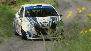 Rallye du Chablais 2021 Highlights [upl. by Atse353]