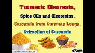 Turmeric Oleoresin Spice Oils  Oleoresins  Curcumin from Curcuma Longa  Extraction of Curcumin [upl. by Menashem]