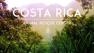 How Volunteering in Costa Rica Gave Me a New Perspective [upl. by Ttenrag]