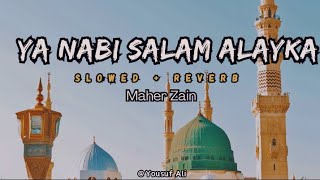 Ya Nabi Salam Alayka  Maher Zain  Yousuf Ali [upl. by Lennon]