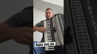 Ti si me cekala  a ja sum negde rujno vino pio   accordion forspil akordeon accordion music [upl. by Elamrej30]