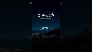 سورة العاديات [upl. by Yenruoj]