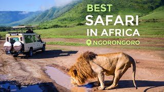 Travel in 2021 Safari in Tanzania Ngorongoro [upl. by Hilleary]