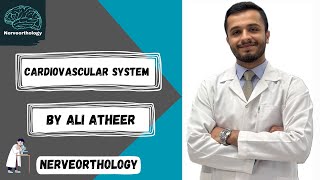 Histology  cardiovascular system part 3 [upl. by Artina]