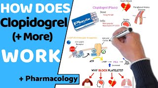 How Does Clopidogrel Antiplatelets Work  Pharmacology [upl. by Acirtap]