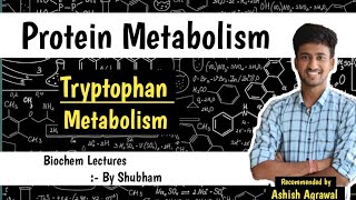 Tryptophan Metabolism  Protein Metabolism Biochemistry Lectures [upl. by Kyte]