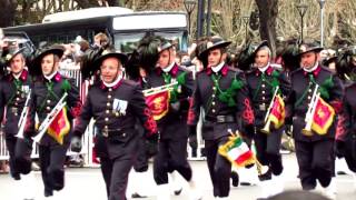 Desfile del Bicentenario  Avenida del Libertador Palermo Buenos Aires  10072016 [upl. by Etolas]