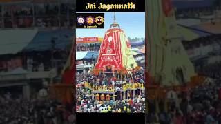 Jai Jagannath  Puri Jagannath  Jagannath Rath Yatra shorts devotional [upl. by Lebazej388]