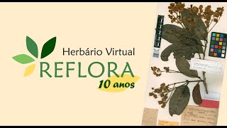 Herbário Virtual Reflora  10 anos [upl. by Rhpotsirhc284]