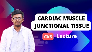 CVSIntroductionCardiac Muscle amp Junctional Tissue CVS physiology for First yearcvs whiteapron [upl. by Alissa594]