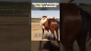 Kind Horses Surprising Act for a Woman HeartwarmingStory KindHorse AnimalKindness [upl. by Abbe]