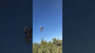 145 foot tree jump part 5 [upl. by Atikahc]