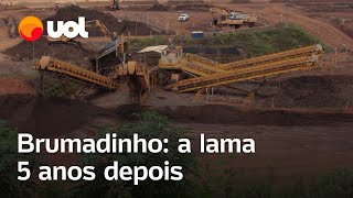 Brumadinho vídeos mostram como está área atingida por vazamento da barragem da Vale após 5 anos [upl. by Eimmit]