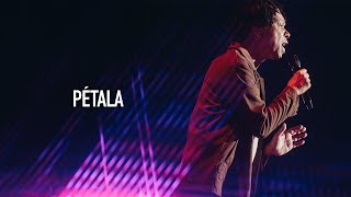 Djavan  Pétala  D Ao Vivo Maceió Clipe Oficial [upl. by Evyn]