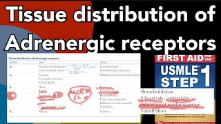 Tissue distribution of adrenergic receptors in HindiUrdu by first aid for USMLE step 1 [upl. by Eidualc]