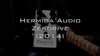 Hermida Audio Zendrive 2014 [upl. by Nohsal]