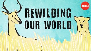 From the top of the food chain down Rewilding our world  George Monbiot [upl. by Modeste]