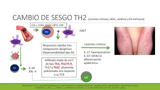 Fisiopatología de la Dermatitis Atópica [upl. by Valle]