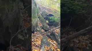 We found a new storm drain exciting tunnel exercise abandonedplaces twotunnels [upl. by Aneram717]