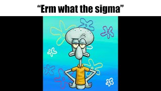 erm what the sigma 🤨 [upl. by Nahrut]