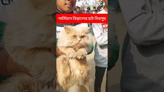 মিরপুর ১ পার্সিয়ান বিড়ালের হাট  Mirpur 1 Persian Biral Hat cat cats persiancat pets animals [upl. by Valeta]