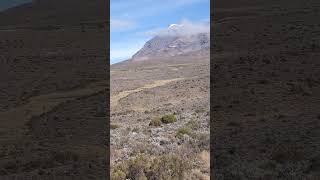 Marangu route on the way to Kibo Hut [upl. by Wakeen686]