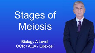 A Level Biology Revision quotStages of Meiosisquot [upl. by Umeko237]