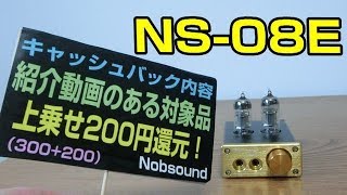 Nobsound NS08E ヘッドホンアンプ [upl. by Cummings]