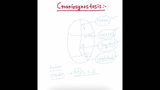 Craniosynostosis part 1 [upl. by Aurelius]