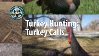 Turkey Hunting Calls [upl. by Nevar969]