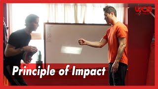 Principle of Impact  DK Yoo [upl. by Ernst]