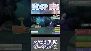 1年かかった厳選 ムンボ色違いダークライ【ポケモンBDSP】 [upl. by Jovitah61]