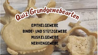 Quiz Anatomie Physiologie Organsysteme  Interne Prüfung Teil 3 Grundgewebearten Histologie [upl. by Fife]