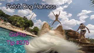 GoPro Fetch Dog Harness  GoPro Tip 375  MicBergsma [upl. by Ramon]