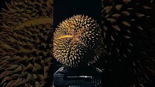 ASMR Opening a Durian 51 [upl. by Nahsab437]