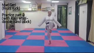 Mae Geri Front Kick Part 2 [upl. by Tirza]