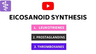 Eicosonoids Synthesis  Leukotrienes Prostaglandins and Thromboxanes [upl. by Spenser]