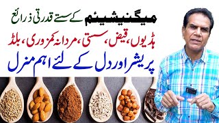 Best Inexpensive Natural Magnesium Sources  Dr Shahzad Basra [upl. by Laon]