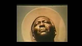 Huddie Leadbelly Ledbetter  In the Pines [upl. by Ahsiekam]