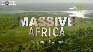 Massive Africa  Okavango Swamps Movie Review Dreamscape Media [upl. by Coppola29]