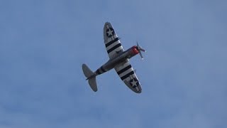 Duxford Battle of Britain Airshow 2024 Hawker Fury Grumman Bearcat and Republic P47 Thunderbolt [upl. by Rebeka885]