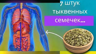 Тыквенные семечки Творит чудеса для вашего здоровья😱 [upl. by Htebyram]