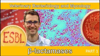 ESBLs and Carbapenemases Part 1  Veterinary Bacteriology and Mycology [upl. by Conn]