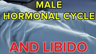 Male Hormonal Cycle And Libido [upl. by Gustavo]