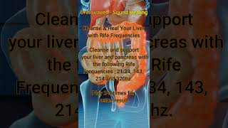 Cleanse amp Support Your Liver amp Pancreas with Rife Frequencies [upl. by Eiznil]