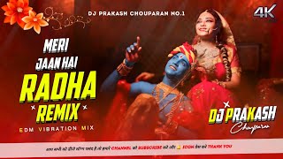 Are Re Meri Jaan Hai Radha Remix Meri Jaan Hai Radha Janmashtami Dj Song Dj Prakash Chouparan [upl. by Idnahk]