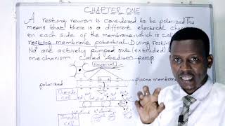 BIOLOGY FORM 4 CHAPTER 1Nerve Impulse amp Resting potential LECTURE 06 [upl. by Shriver]