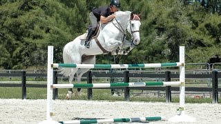 Horse Jumps ProTips  RideACourse with Todd Minikus [upl. by Caroline11]