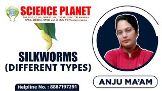 Silkworms Different Types by Anju Mam on Science Planet [upl. by Ydwor158]